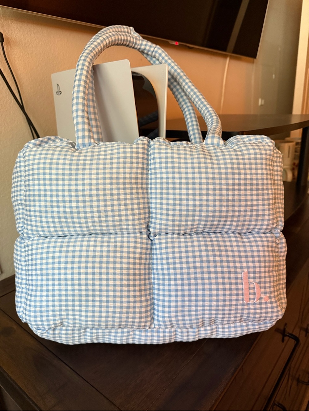 Bookish Goods Quilted Blue Gingham Tote Bag